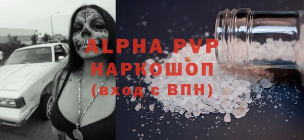 прущие грибы Магас