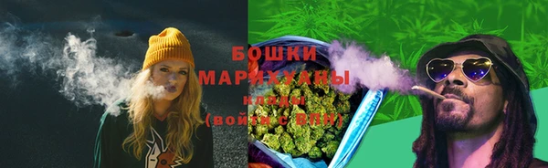 прущие грибы Магас