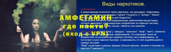 прущие грибы Магас