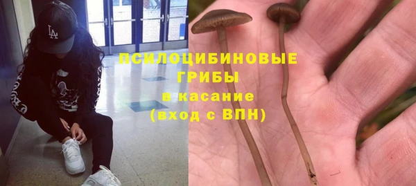 спиды Магадан
