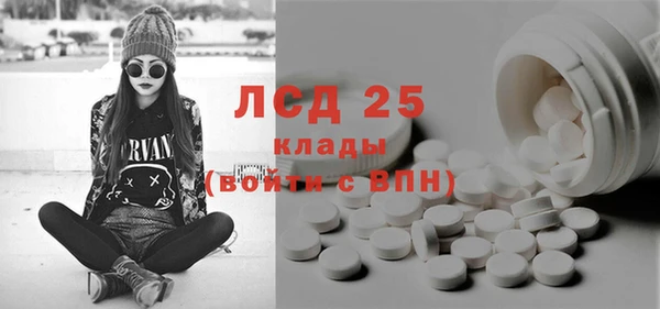 прущие грибы Магас
