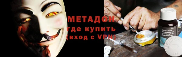 прущие грибы Магас