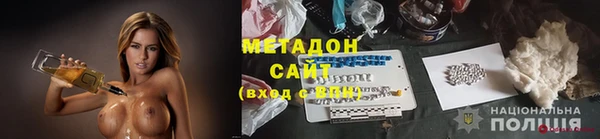 прущие грибы Магас