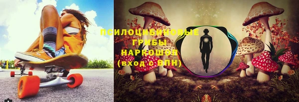 спиды Магадан