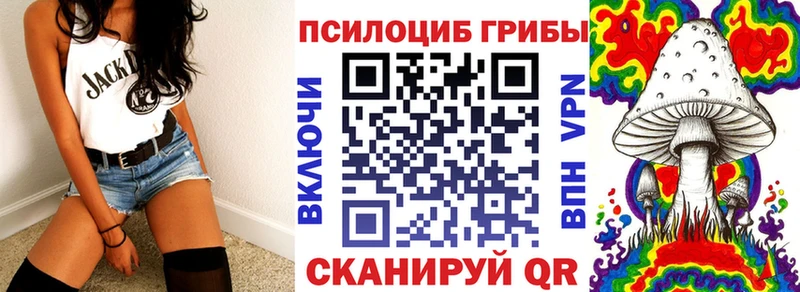 цена наркотик  Томилино  Псилоцибиновые грибы Psilocybe 